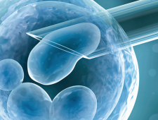 Mag het leven van ivf-embryo’s worden verlengd?