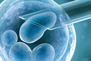 mag het leven van ivf embryos worden verlengd