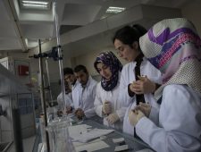 6. De apen die we zullen worden