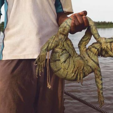 Wildconsumptie drijft op aloude gewoontes