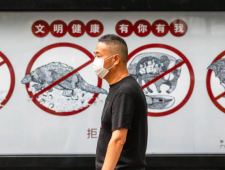 Dus waar komt het virus nou vandaan?