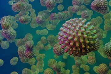 Het kwam, het zag en het muteerde