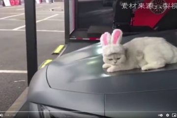 Schermafbeelding 2021 06 08 om 11.17.46 1