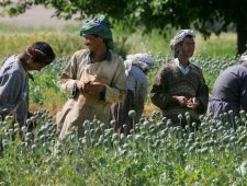 Taliban zijn de grootste drugshandelaren ter wereld