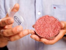 Italiaans parlement verbiedt kweekvlees