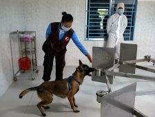 Cambodja zet honden in tegen corona |  Japanse beurs in de lift