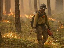 Probleem van bosbranden wordt alleen maar groter
