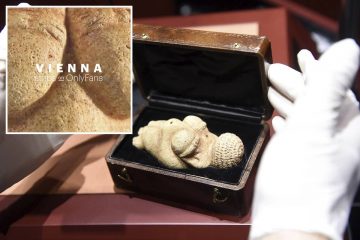 vienna museum onlyfans preview 1 1