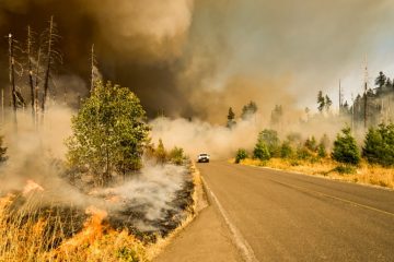 marcus kauffman iretlQZEU4 unsplash 3