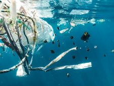 Californië start groot onderzoek naar ‘misleiding’ door plasticindustrie