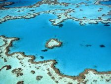Australië belooft 1 miljard dollar om het Groot Barrièrerif te beschermen
