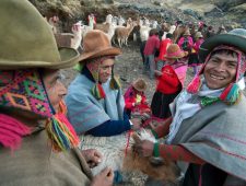 In de Andes bevindt zich het meest diverse voedselsysteem ter wereld