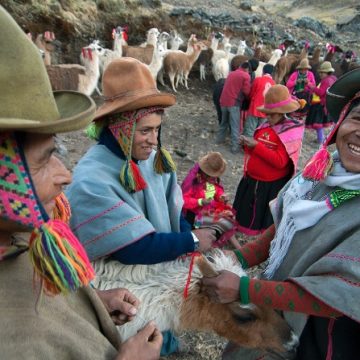 In de Andes bevindt zich het meest diverse voedselsysteem ter wereld