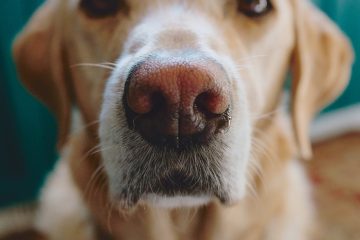 lucas ludwig RTG5GeI6aQ0 unsplash kopie