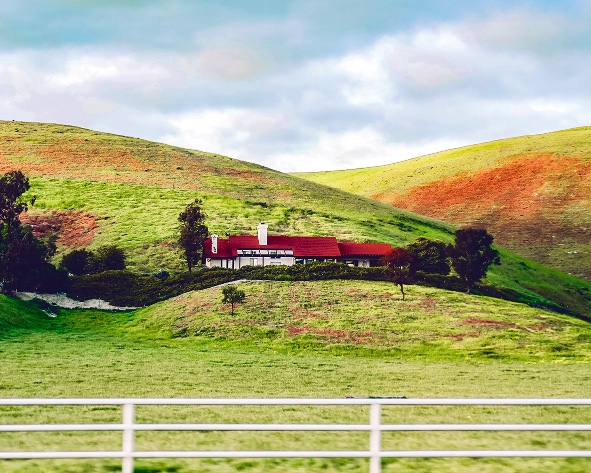 ralph ravi kayden kTpfNTQ2f18 unsplash