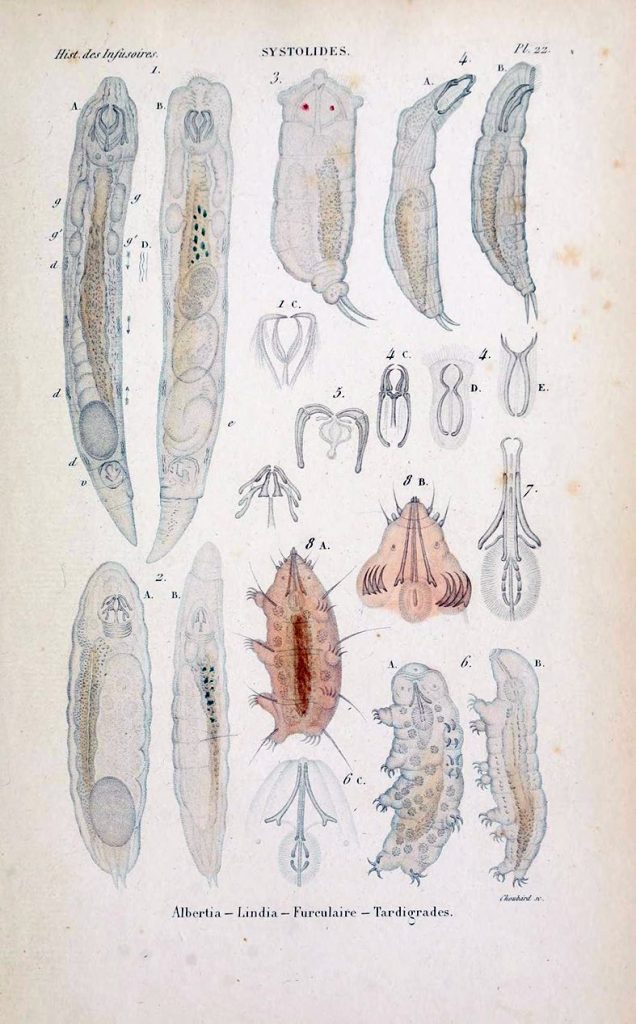 histoirenaturell010duja 0071