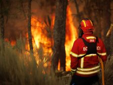Wat zij zeggen over de wereldwijde bosbranden deze zomer