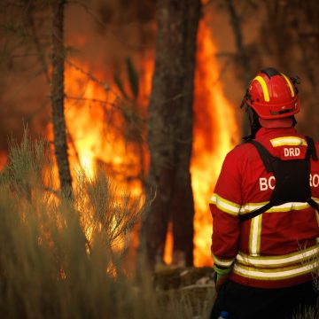Spanje: bosbranden kosten aan drie mensen het leven