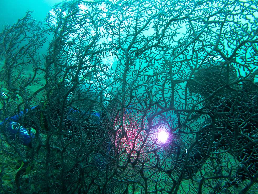 7175657996 2802e768ec o