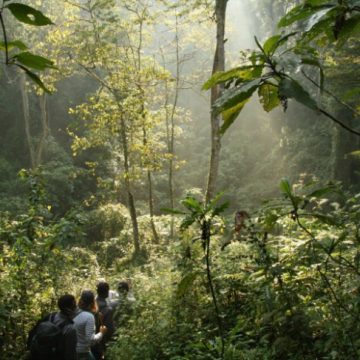 De strijd tegen de pandemieën van de toekomst begint in dit Oegandese bos