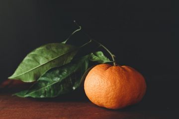 mollie wetta agP9RgnWZAY unsplash