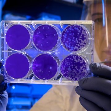 Hoe een bacterievrij jaar een generatie van ‘coronakinderen’ heeft veranderd