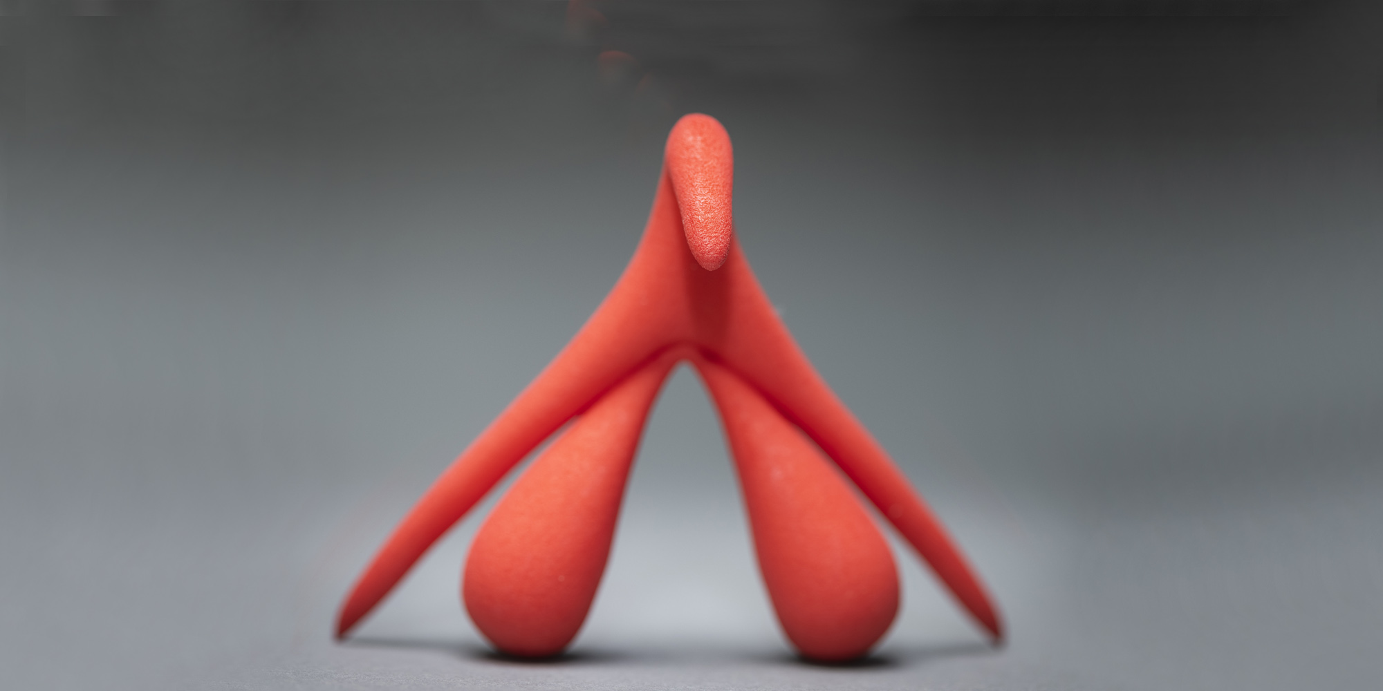 De helft van de wereldbevolking heeft een clitoris. Waarom wordt die ...