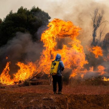 Chili: minstens achttien mensen omgekomen bij bosbranden