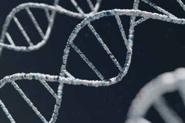 warren umoh qycBqByWIY unsplash compressed