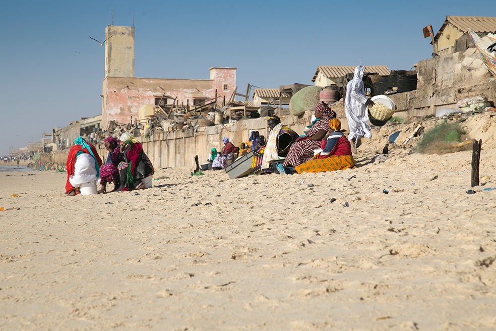 40016094742 55a8826855 o