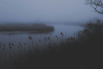 jim chesek PYx6yjAoVVs unsplash 1