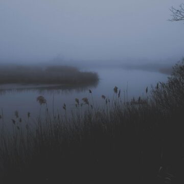 De verrassende waarheid over seizoensgebonden depressie