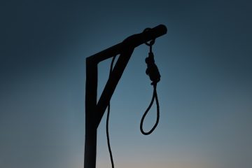 alireza jalilian Qz0KCPzg5N4 unsplash