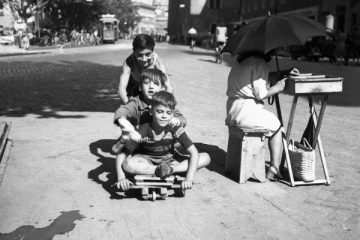 46382817 2307930345946681 7238854046658854912 n