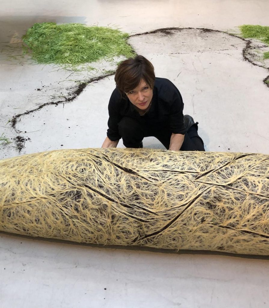 1000x . 6492e875a087f134e878521cc87e87425ff245bf3de48