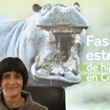 Colombia gaat Pablo Escobar’s nijlpaarden afmaken