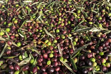 john cameron WCyjPJBzSAU unsplash