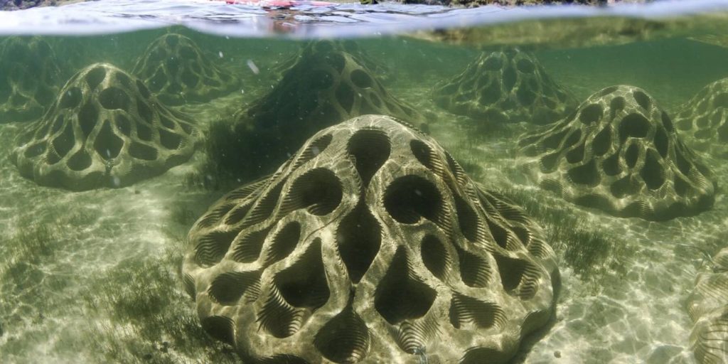 reef design lab emu erosion mitigation units recycled shells concrete designboom ban kopie 2