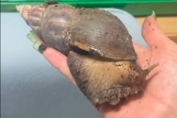 Scherm­afbeelding 2024 02 09 om 15.01.38