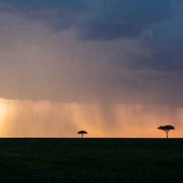 Meer dan 150 doden door extreme regenval Tanzania