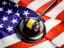 Skelet van een stegosaurus voor een recordbedrag geveild in New York