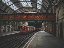 Onderzoek: vogelgezang verlicht stress in ov