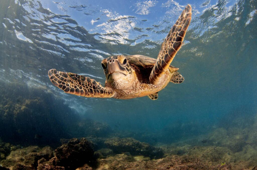 GettyImages 1288684526