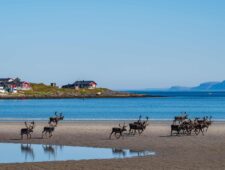 Dossier Smeltende talen