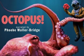 octopus trailer jpg 1745385690779 1745385692495 1200x675 1