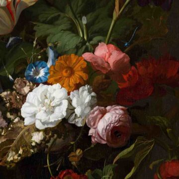 Rachel Ruysch, bloemengodin van de Lage Landen