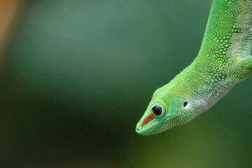 simon schwyter ZSQReO87s0I unsplash 1 1