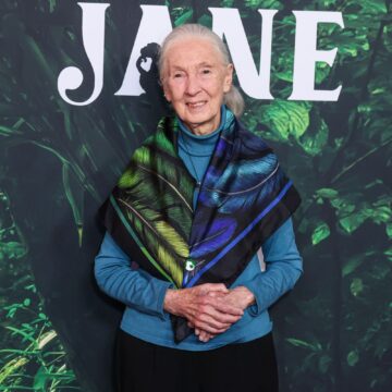 Primatoloog Jane Goodall op 91-jarige leeftijd overleden
