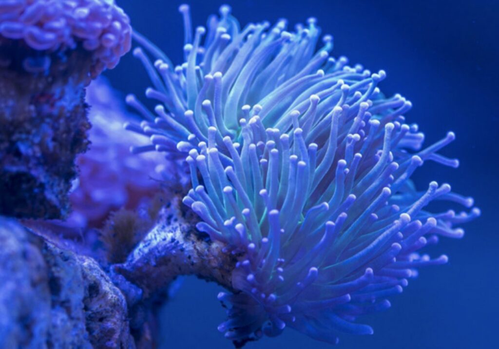 Screenshot 2025 11 28 at 4.48.33 PM compressed