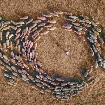 Wereldbeeld: Duurzame landbouw in Gunnedah